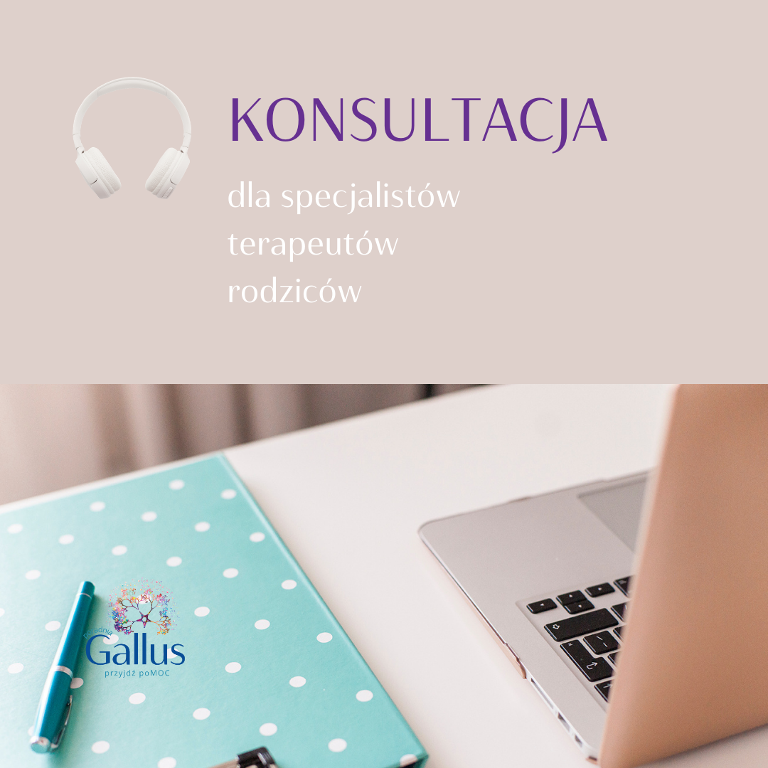 Olga_Kokot_Poradnia_Gallus_konsultacja_dla_specjalistów_terapeutów_rodziców