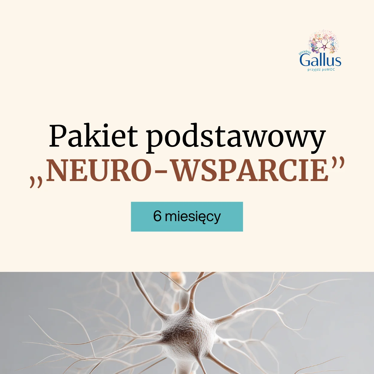 Pakiet Podstawowy - NEURO WSPARCIE - 6 mcy