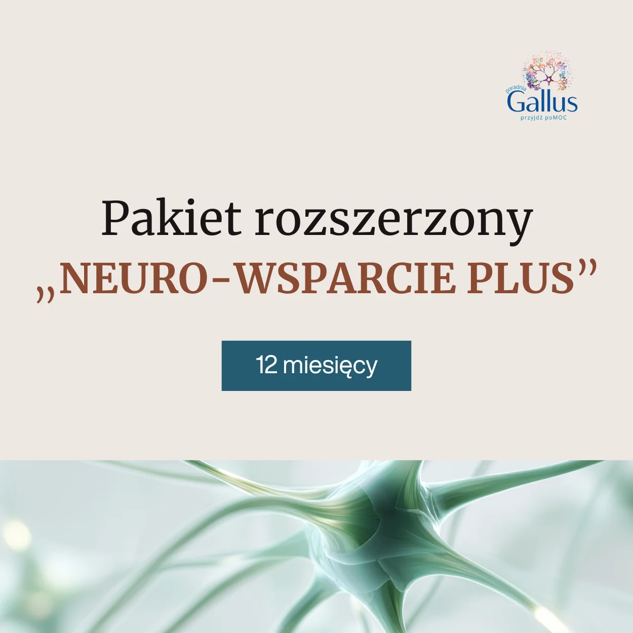 Pakiet Rozszerzony - NEURO WSPARCIE PLUS - 12 mcy